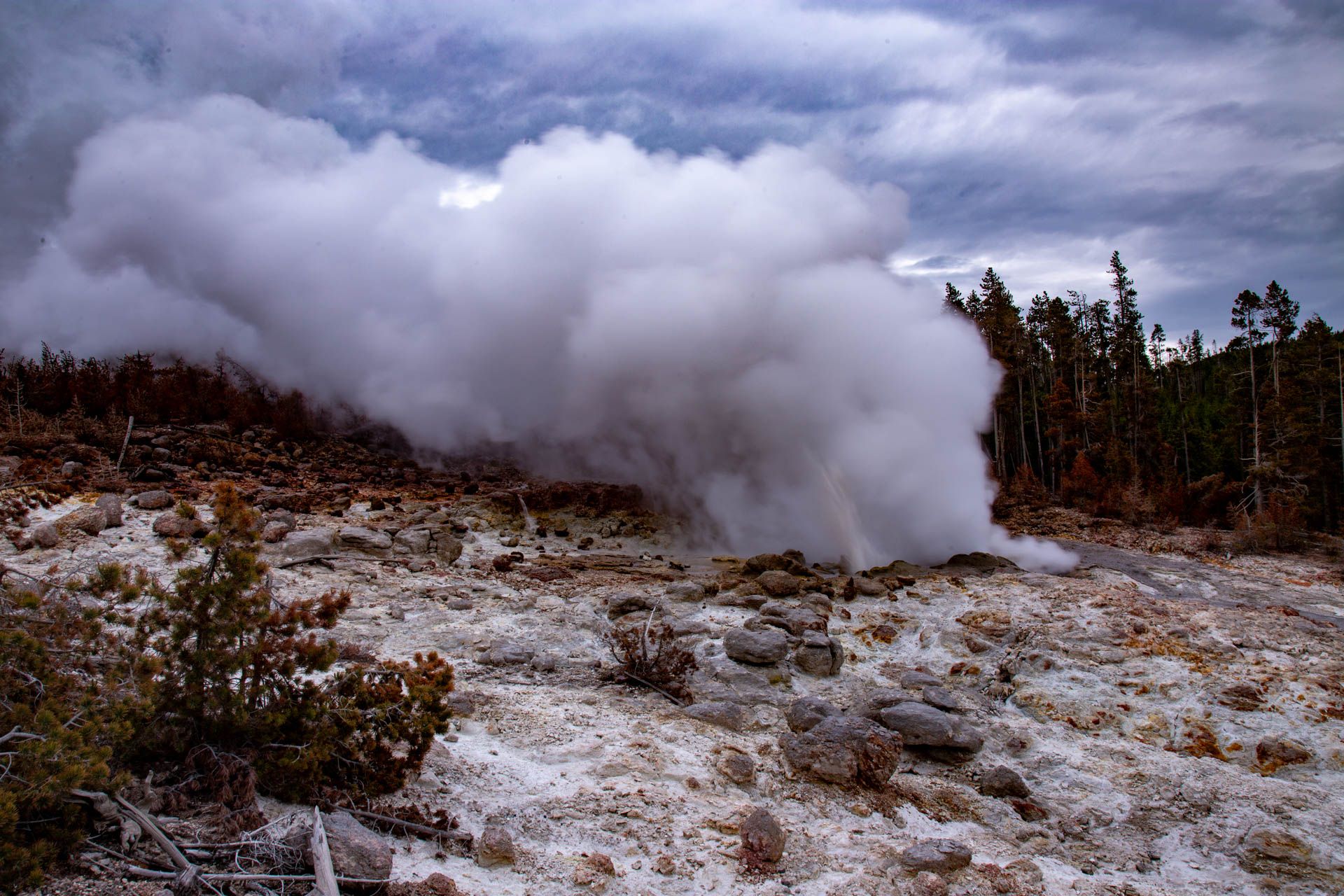 Yellowstone to Bozeman LaptrinhX / News