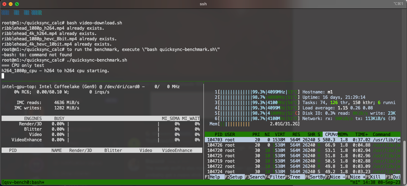 I need your help with Intel Quick Sync benchmarking!