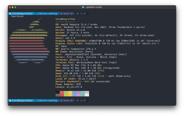 My Terminal and Editor Theming